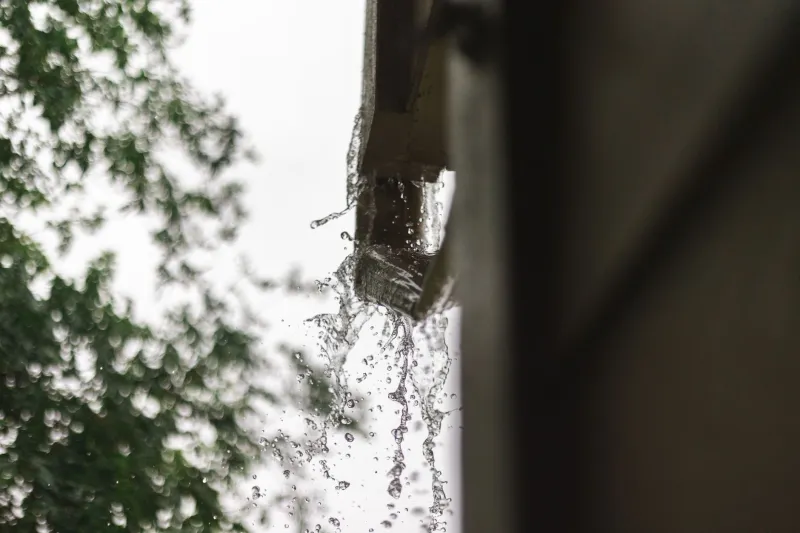 That Drip Outside Isn't Just Annoying — It's Your Gutter Asking for Help