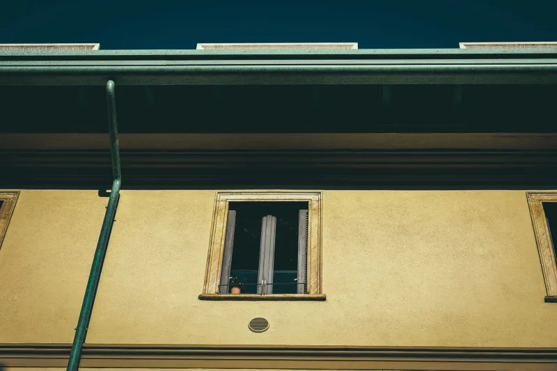 It Might Not Be Your Gutters: Downpipes, Drains and the Neighbour's Tree